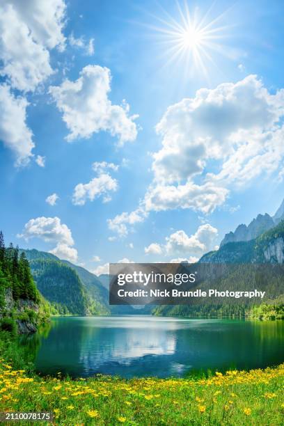 gosauseen, austria. - hochgebirgsklima stock-fotos und bilder