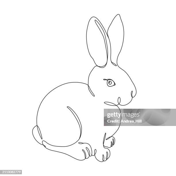 easter bunny continuous single line drawing with editable stroke - fluffy rabbit stock illustrations