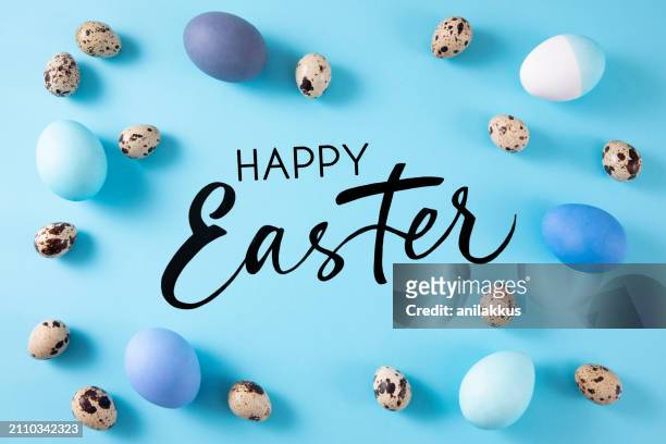 colorful easter eggs on blue background - paint branch stock pictures, royalty-free photos & images