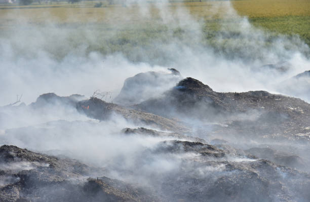 IND: Garbage Burning In Ghaziabad