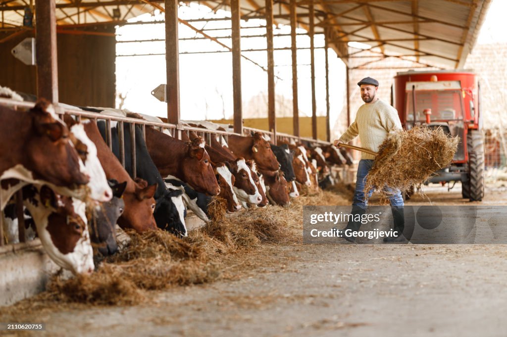 Feeding the Herd