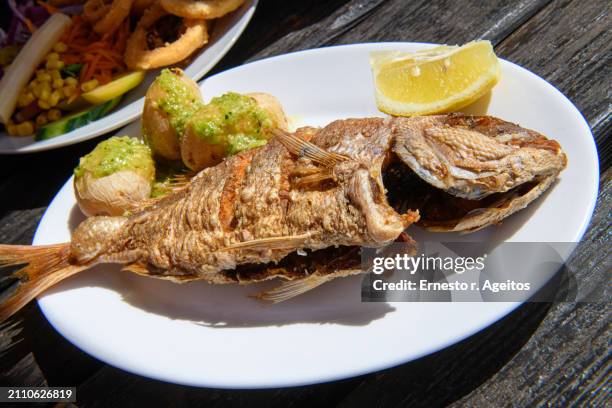 fried fish with lemon and wrinkled potatoes with 'mojo picón' (hot sauce), next to a plate of calamari - mojo stock pictures, royalty-free photos & images