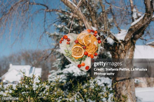 heart shaped iced sun catches - cranberry heart stock-fotos und bilder