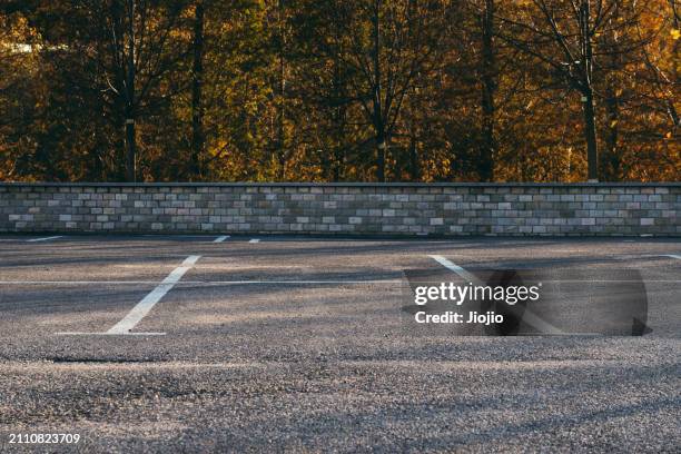 empty parking lot - parking space stock pictures, royalty-free photos & images