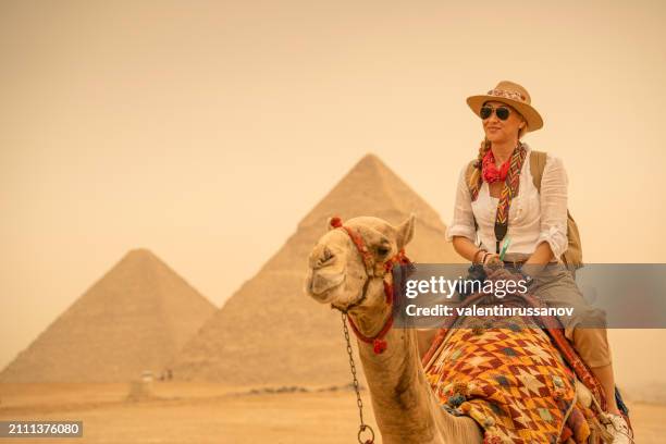 touriste en vacances voyageant à dos de chameau devant les pyramides. egypte, le caire - gizeh - chameau photos et images de collection