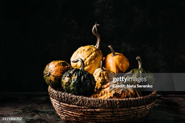 colorful pumpkins halloween decoration - gourd stock pictures, royalty-free photos & images