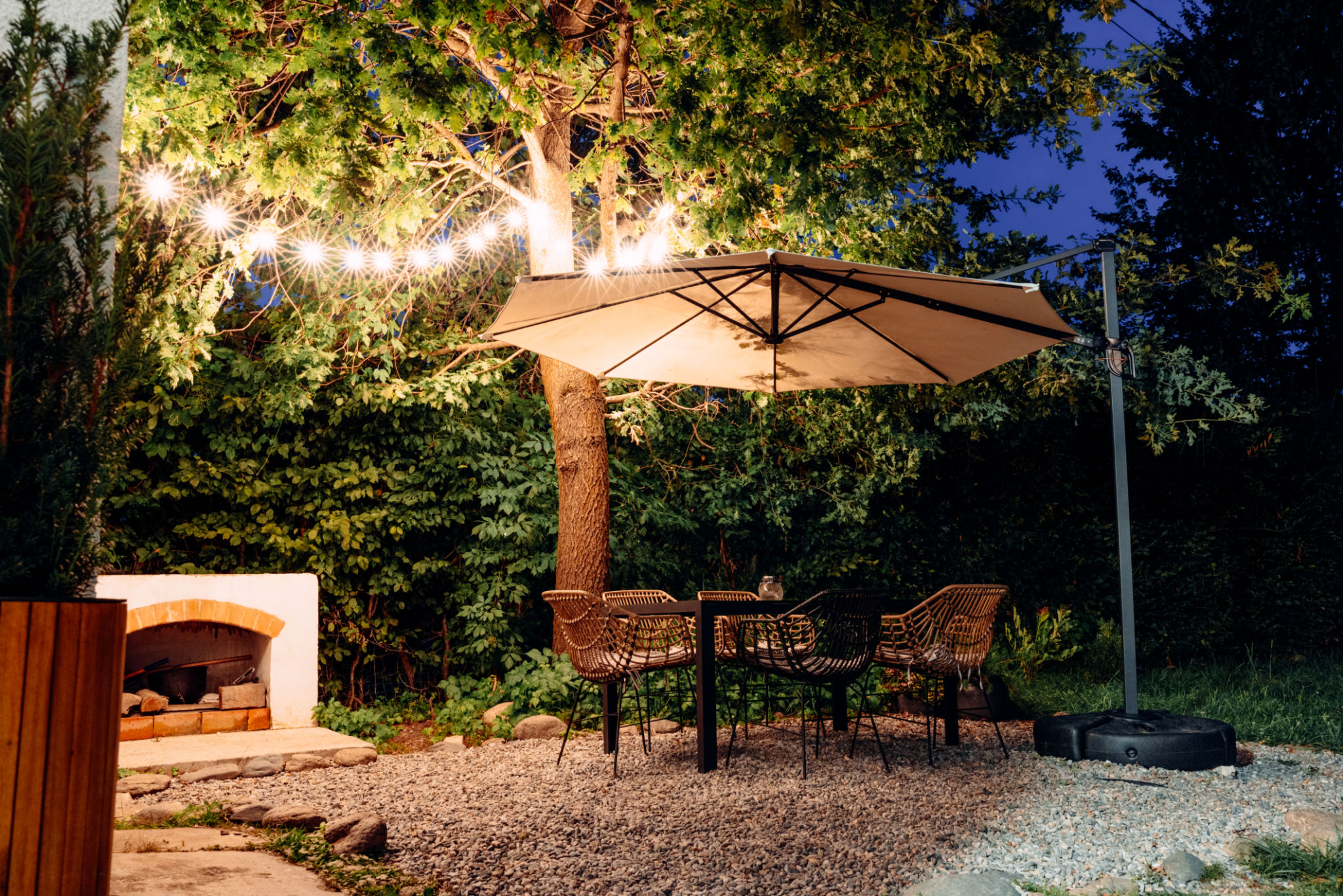 nighttime backyard