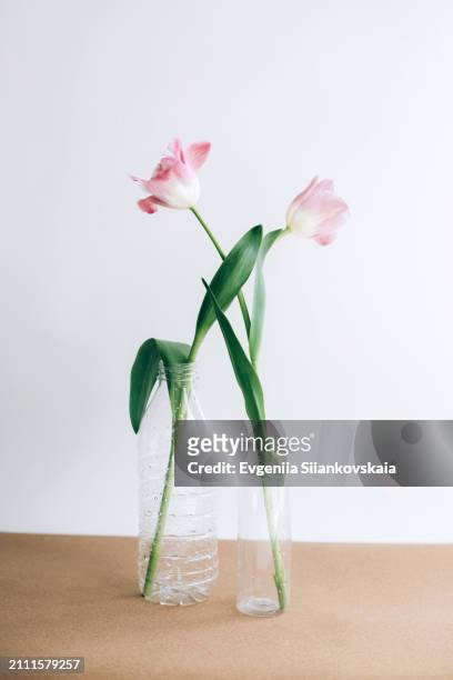 front view of creative composition with bouquet of beautiful fresh spring tulips and plastic bottles on the table. - house for an art lover stock pictures, royalty-free photos & images