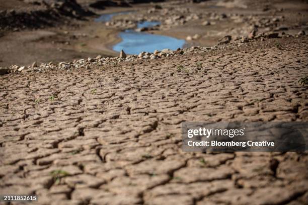 cracked earth during a drought - drought stock pictures, royalty-free photos & images