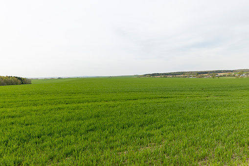 Gladstone Land: Speculating On A 7.4% Yield To Mandatory Call On Preferreds (NASDAQ:LAND) Gladstone Land: Speculating On A 7.4% Yield To Mandatory Call On Preferreds (NASDAQ:LAND)