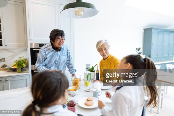 mixed asian family at home, posing in modern kitchen and looking at camera - northern european descent stock pictures, royalty-free photos & images