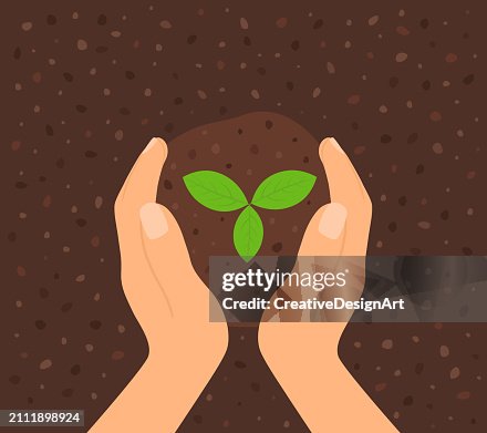 High Angle View Of Hands Planting Seedling In The Soil. Sustainability, Zero Waste, Saving The Planet And Forestation Concept High Angle View Of Hands Planting Seedling In The Soil. Sustainability, Zero Waste, Saving The Planet And Forestation Concept