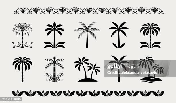 ilustraciones, imágenes clip art, dibujos animados e iconos de stock de palm tree icons - palmera