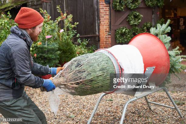 wrapping a christmas tree in netting - christmas decorations in store stock pictures, royalty-free photos & images