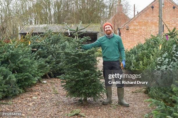 a christmas tree salesman - commercial event stock pictures, royalty-free photos & images