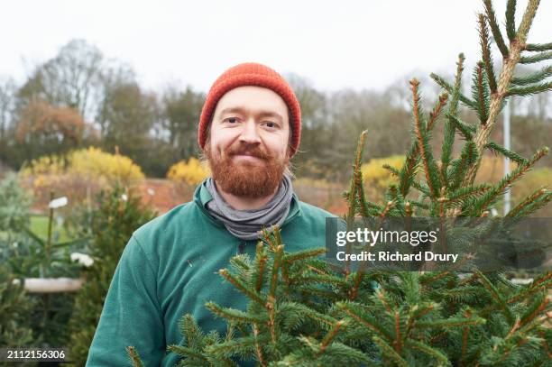 a christmas tree salesman - commercial event stock pictures, royalty-free photos & images