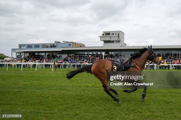 Huntingdon Races Pictures and Photos - Getty Images