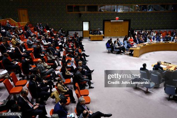 Israel Representative 1,266 Permanent Representative Of Israel To The United Nations Stock ...