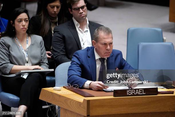 Israel Representative 1,266 Permanent Representative Of Israel To The United Nations Stock ...