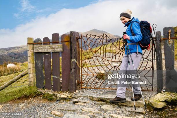 woman hiking on snowdon, north wales, uk - snowdon peak stock pictures, royalty-free photos & images