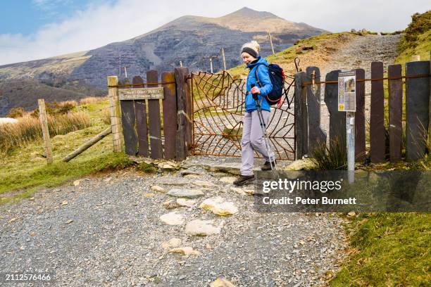 woman hiking on snowdon, north wales, uk - snowdon peak stock pictures, royalty-free photos & images