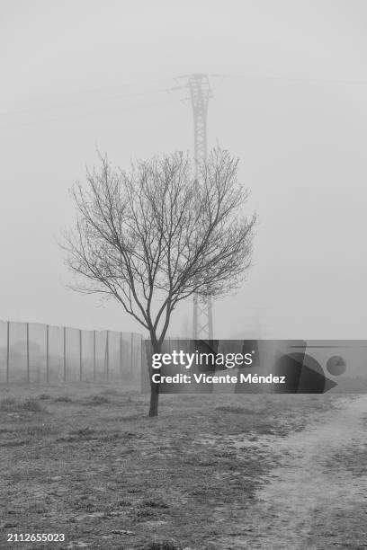 fog on the outskirts - black and white instant print stock pictures, royalty-free photos & images