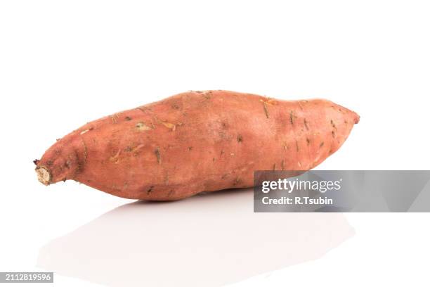 sweet potato batata on the white background isolated - yam plant stock pictures, royalty-free photos & images