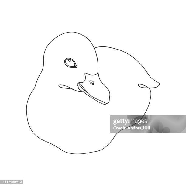 baby duckling continuous single line drawing with editable stroke - down feather stock illustrations