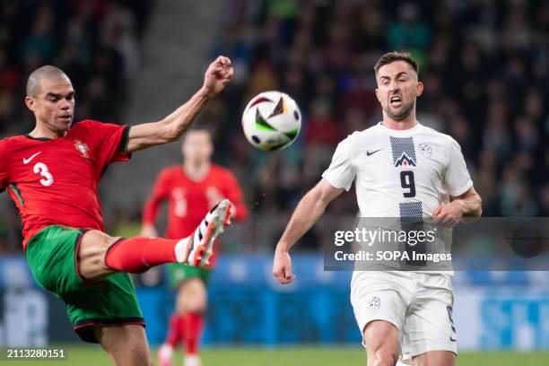 Andraz Sporar of Slovenia and Pepe of Portugal in action during international friendly match between Slovenia and Portugal at Stozice Stadium. Final...