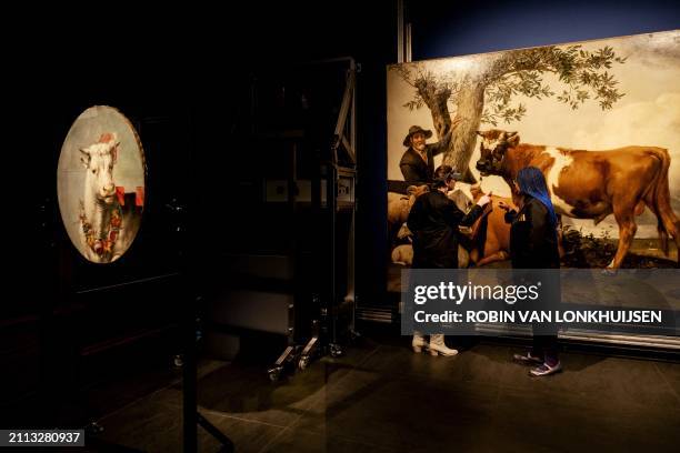 Conservators Jolijn Schilder and Abbie Vandivere look at the painting "The Bull" made by Dutch painter Paulus Potter in 1647 at the Mauritshuis art...