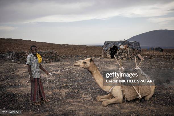 Man holds a camel with a rope on the top of Erta Ale volcano, in the Danakil Depression of the Afar region, on March 23, 2024. In the heart of the...