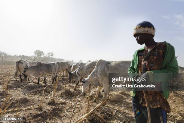 There is a conflict in the region between Normads and sedentary people. Many people are traumatized after brutal attacks. February 07, 2024 in...