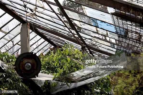 Botanical Garden Affected By Russian Shelling In Odesa