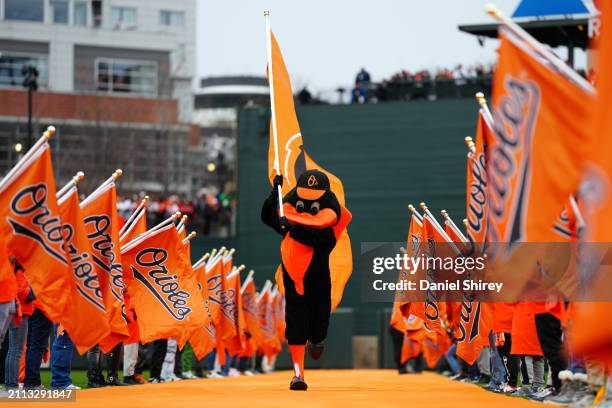 The Oriole Bird mascot takes the field during pregame ceremonies prior to the game between the Los Angeles Angels and the Baltimore Orioles at Oriole...