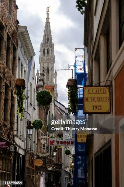 The arrow of the historical Brussels Town Hall is seen from the 'Petite Rue des Bouchers' on March 28, 2024 in Brussels, Belgium. The tower is topped...