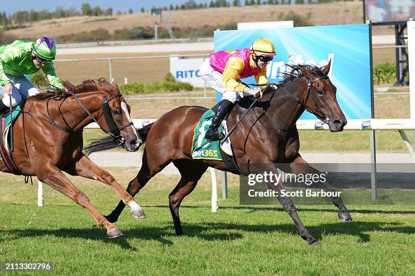 United Petroleum Country Trainers Final