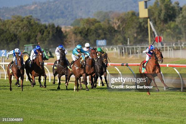 De Bortoli Country Trainers Final