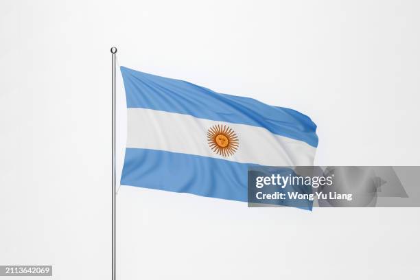 argentina flag with white background - drapeau argentin photos et images de collection
