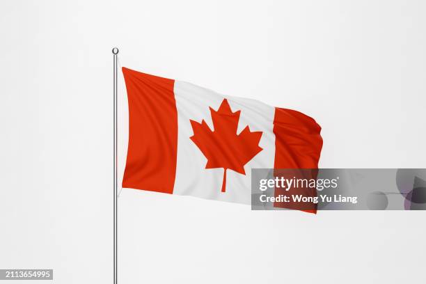 canada flag on white background - bandiera del canada foto e immagini stock