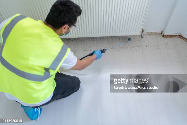 pest control services - ants in house stock pictures, royalty-free photos & images