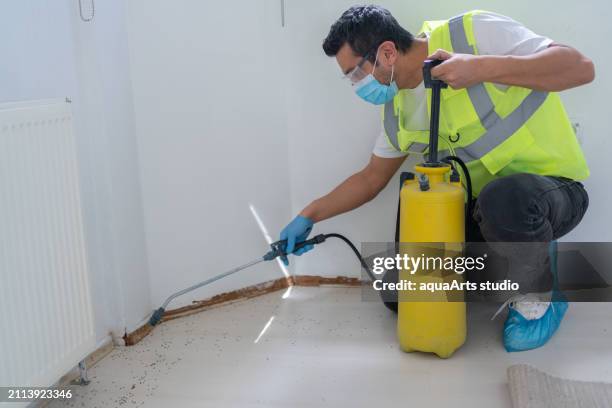 pest control services - killing ants stock pictures, royalty-free photos & images
