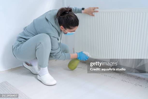 pest control at home - rat stock pictures, royalty-free photos & images