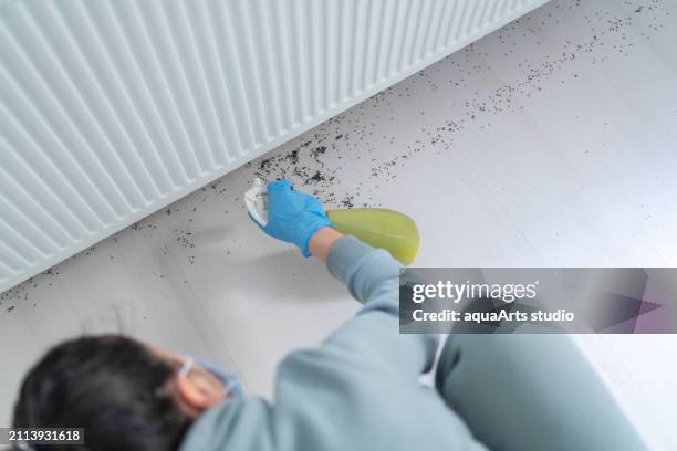 pest control at home - killing ants stock pictures, royalty-free photos & images