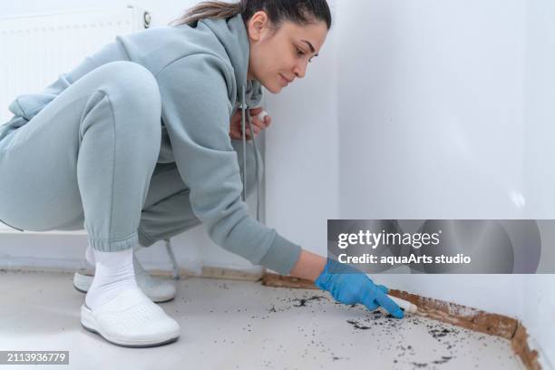 pest control with poisonous substance - killing ants stock pictures, royalty-free photos & images