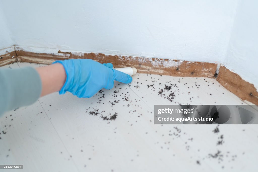 Control de plagas con sustancias venenosas