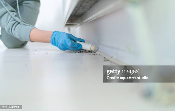 pest control with poisonous substance - killing insects stock pictures, royalty-free photos & images