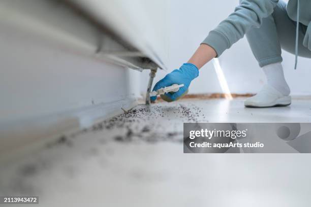 pest control at home - crop sprayer stock pictures, royalty-free photos & images