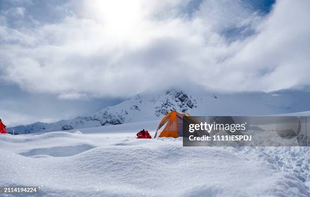 tent in camp one on denali during a sunny day - base camp stock pictures, royalty-free photos & images