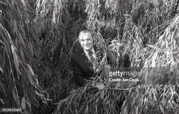 Actor and dancer Gene Kelly in England looking through foliage at Elstree studios on August 20, 1980
