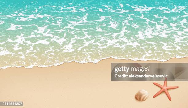 ilustraciones, imágenes clip art, dibujos animados e iconos de stock de fondo vacío de playa de arena - estrella de mar